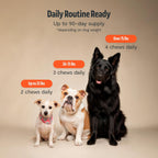 FreshCap Shroomies: Suplemento de setas para perros, 180 uds