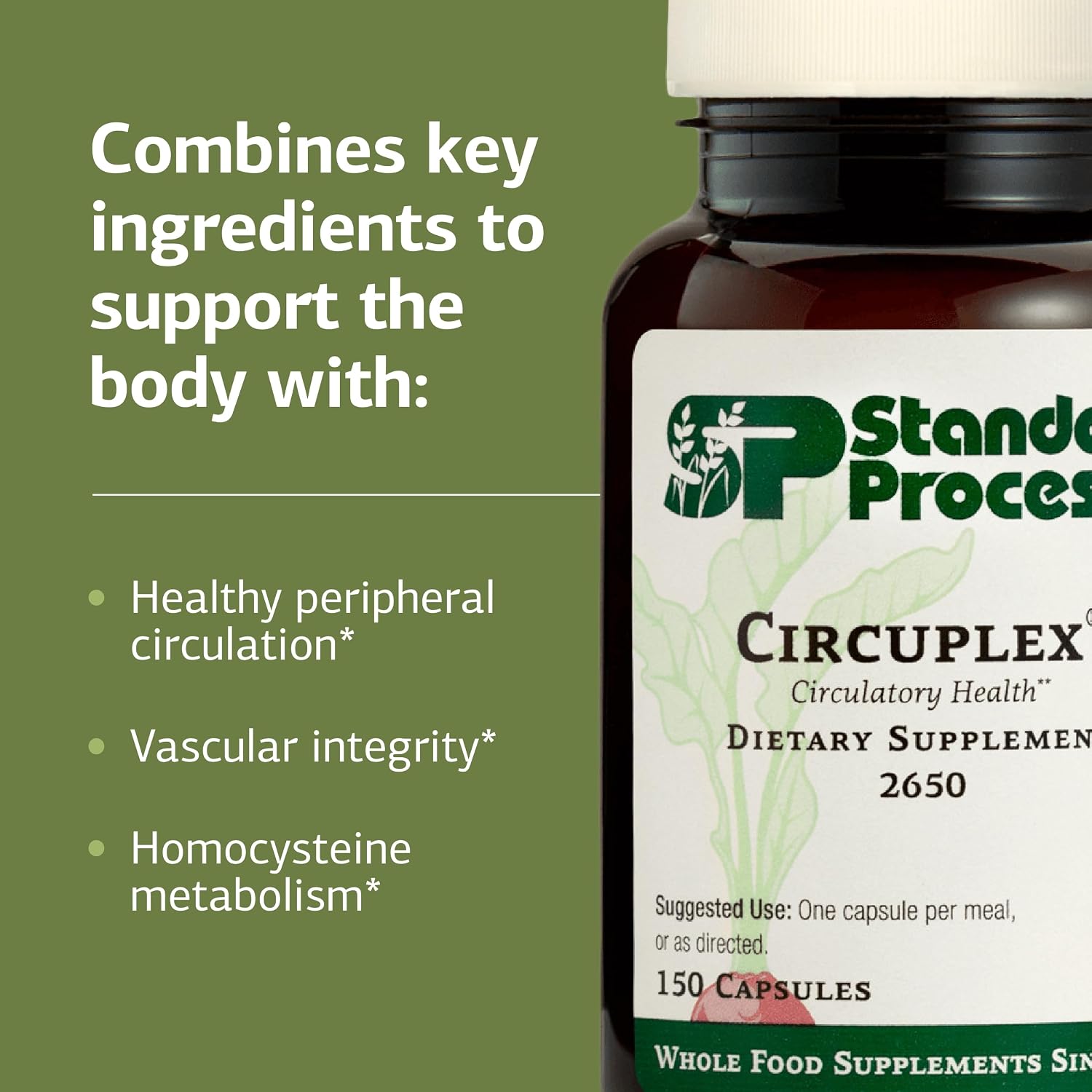 Standard Process Circuplex - Complemento para la Salud Vascular y Nerviosa con Niacina y Vitamina B6 - Sin Lácteos - 150 Cápsulas