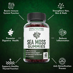 Irish Sea Moss Gummies 3000mg – Atlantis Nutrition