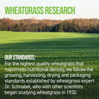 On Target Living Wheatgrass Tabletas Orgánico - 500 Comprimidos