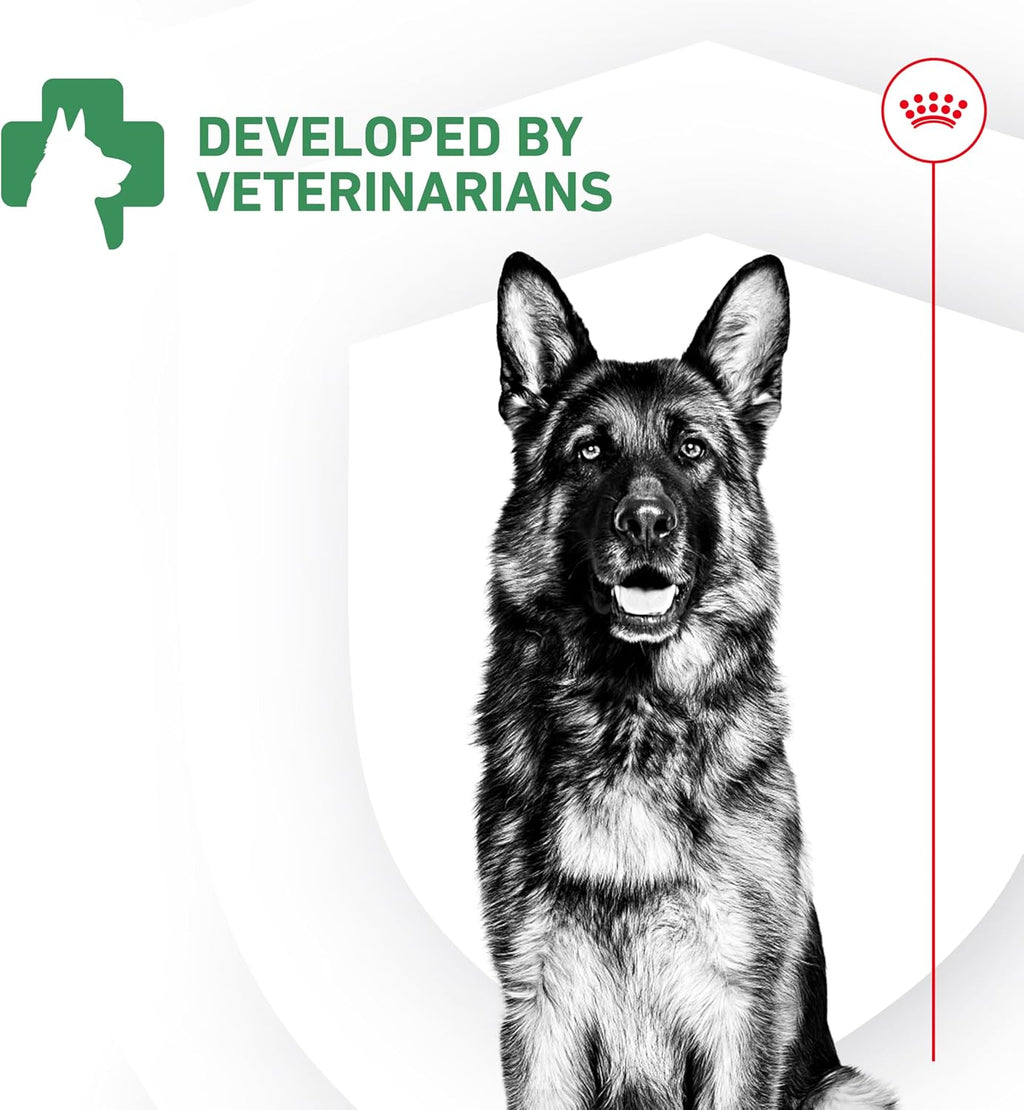 Royal Canin Probióticos para Perros, Salud Digestiva e Inmunitaria, Suplemento en Polvo para Perros de Todas las Edades, 7 Sobres