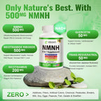 NMNH (Dihidronicotinamida Mononucleótido) con Niacinamida, Quercetina y Resveratrol - Apoyo NAD+ - 120 Cápsulas