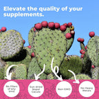 Cápsulas de Nopal Orgánico 1500mg con Extracto de Pimienta Negra - 240 Cápsulas