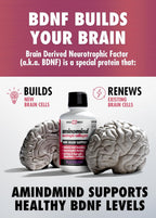 AminoMind – Suplemento de Colágeno Nootrópico para la Salud Cerebral – 14 Fl Oz (28 porciones)