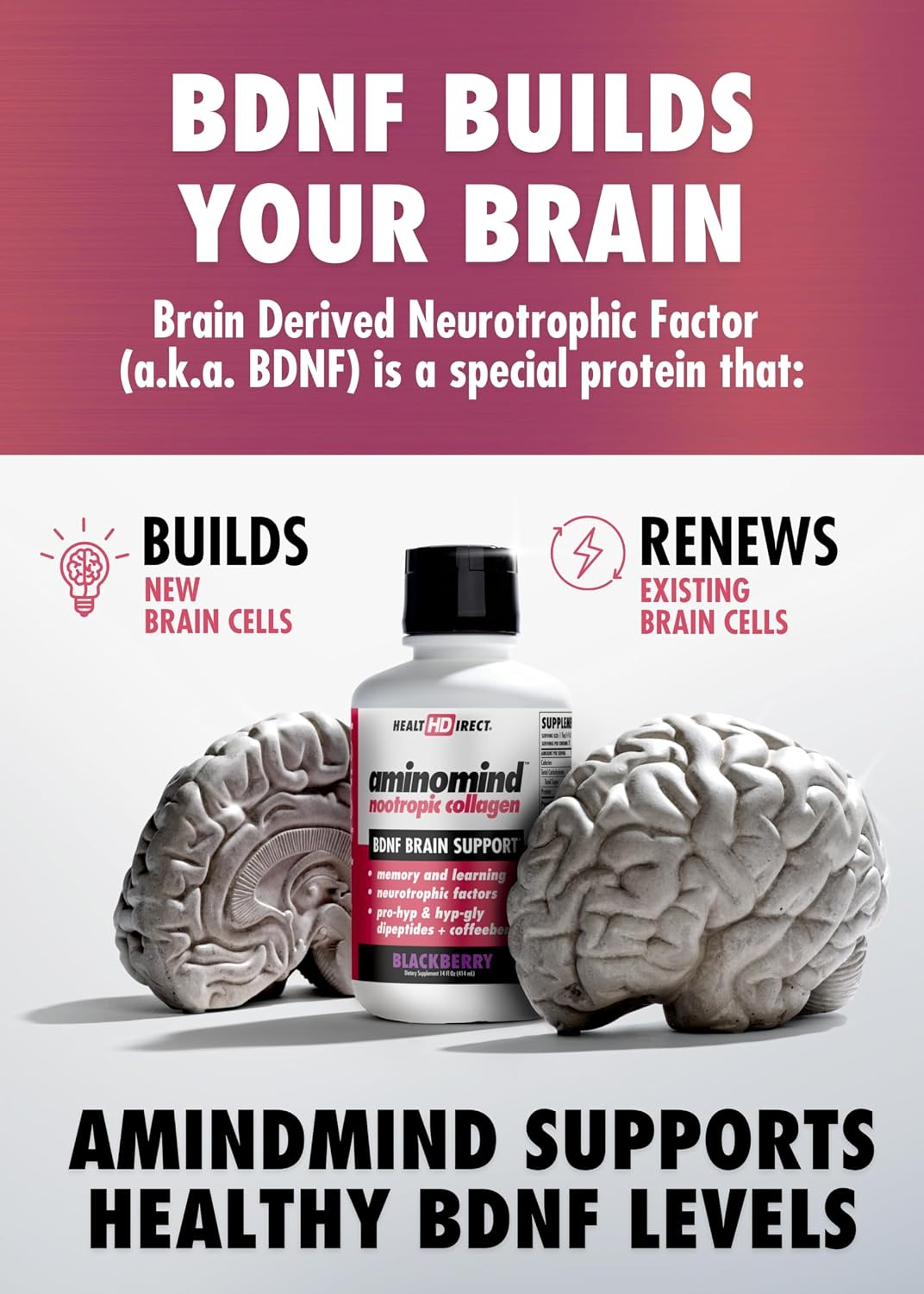AminoMind – Suplemento de Colágeno Nootrópico para la Salud Cerebral – 14 Fl Oz (28 porciones)