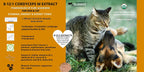 Extracto de Cordyceps para Perros y Gatos – 25%+ Beta Glucanos – Cuerpo Fructífero – 250 Dosis
