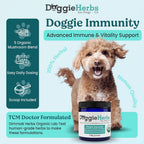 Doggie Herbs High Potency Immune Support – Fórmula de Cuidados Críticos con Setas Turkey Tail, Reishi y Hierbas TCM – Polvo Formulado por Doctor para Recuperación, Vitalidad y Salud Celular – 100g