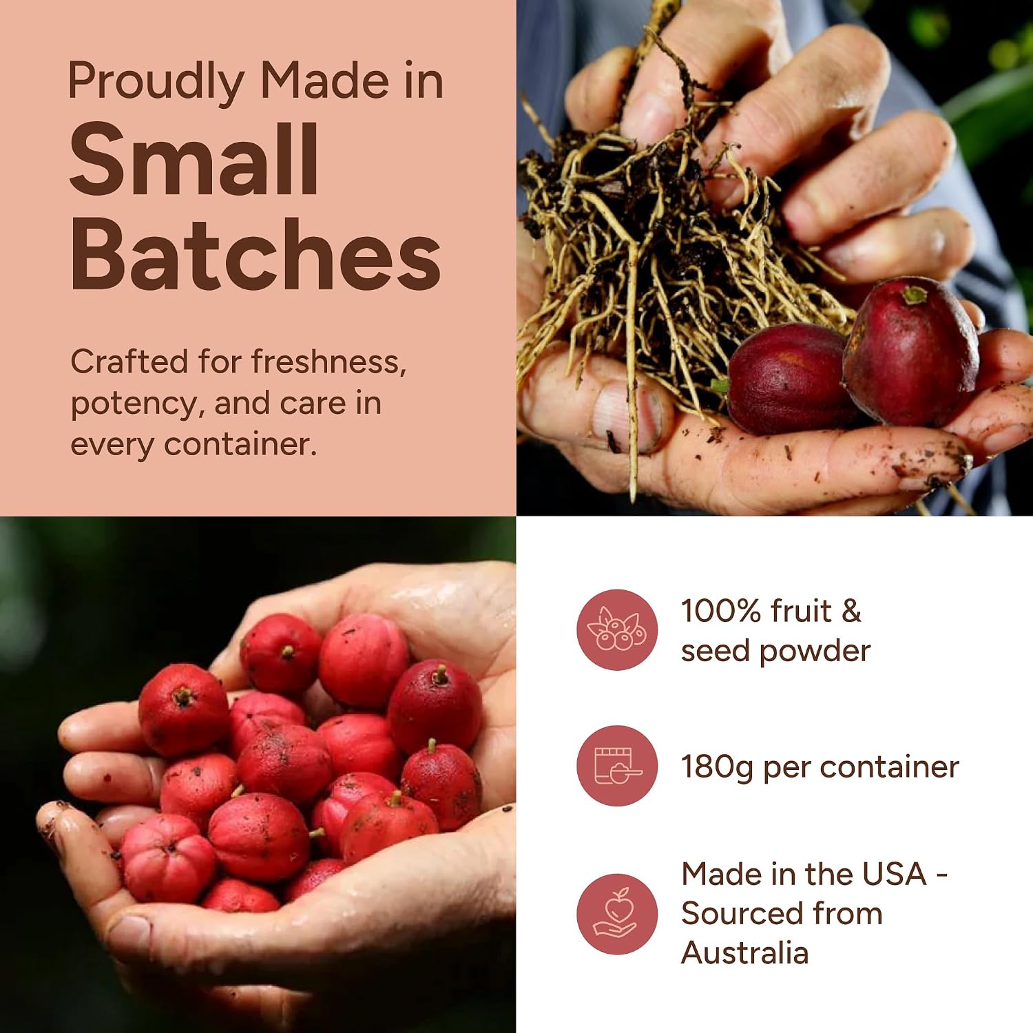 Blushwood Berry Powder EBC-46 - Apoyo Inmunitario y Celular Máxima Potencia - Contiene Fruto y Semilla - 180g