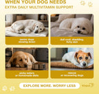 Kinpur Pet Care Multivitamínico 20 en 1 para Perros – 180 Masticables Blandos