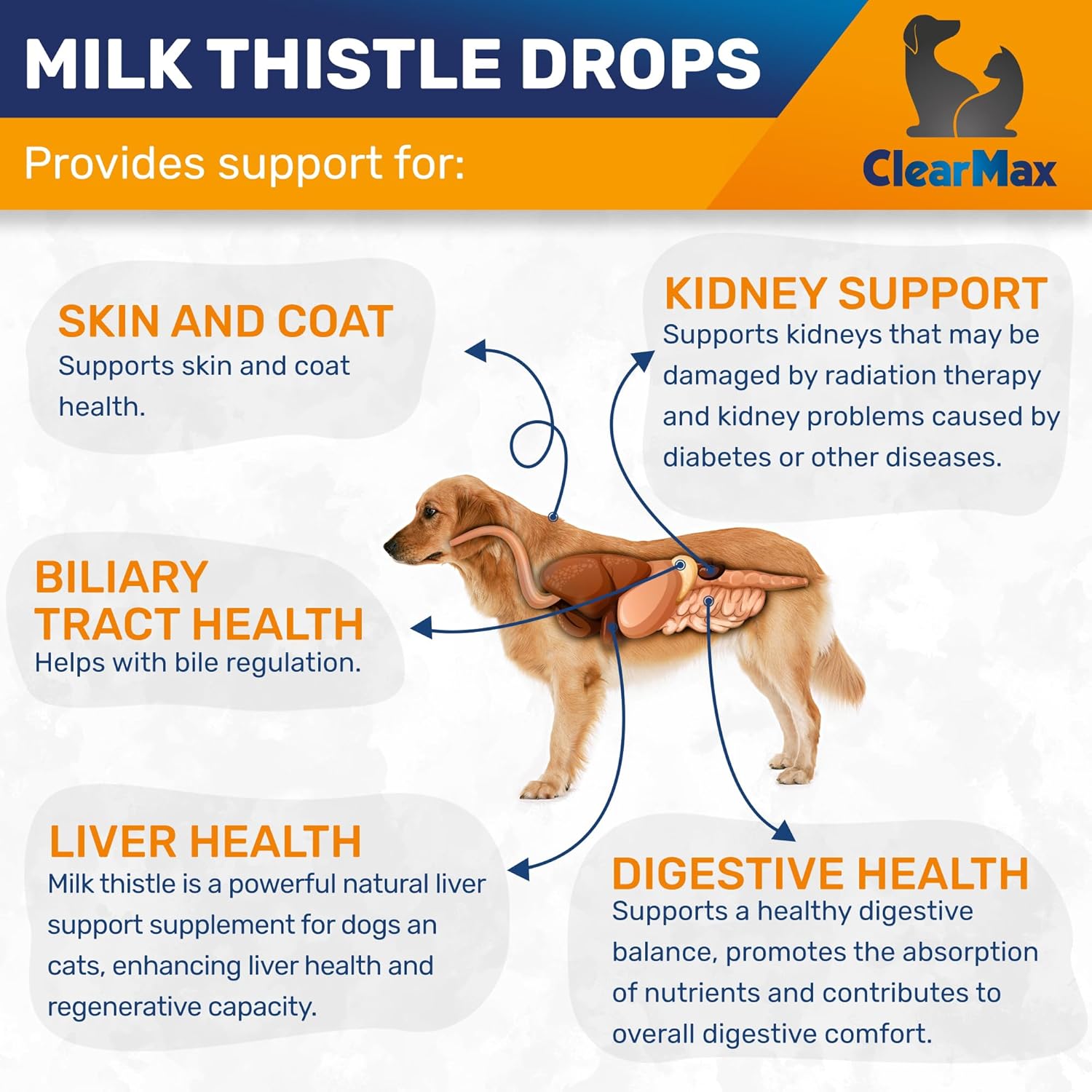 Milk Thistle for Dogs – Liver & Kidney Support for Large & Small Pets – Milk Thistle for Cats to Care for Digestion – Specialist-Approved Liquid Formula with Salmon Flavor – GMO Free – 2 Oz Bottle