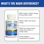 MAAC10 NADH + CoQ10 Comprimidos Masticables (Paquete de 3 - 180 Comprimidos) | 50mg PANMOL® NADH + 100mg CoQ10