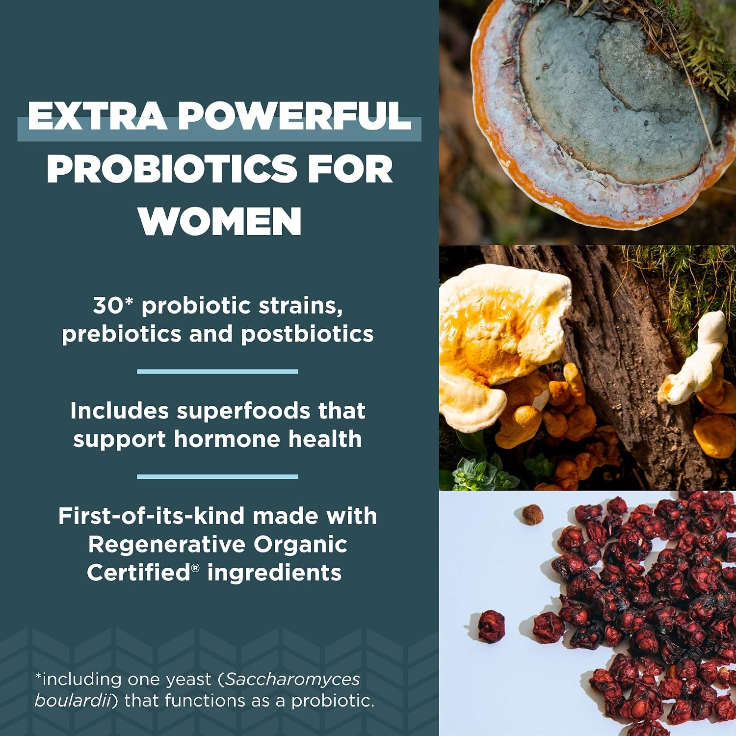 Ancient Nutrition Probióticos para Mujeres Extra Strength, Certificado Orgánico Regenerativo, 60 Cápsulas
