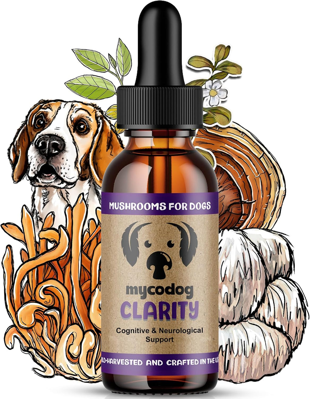 Clarity – Suplemento de Setas para el Apoyo Cognitivo en Perros con Adaptógenos