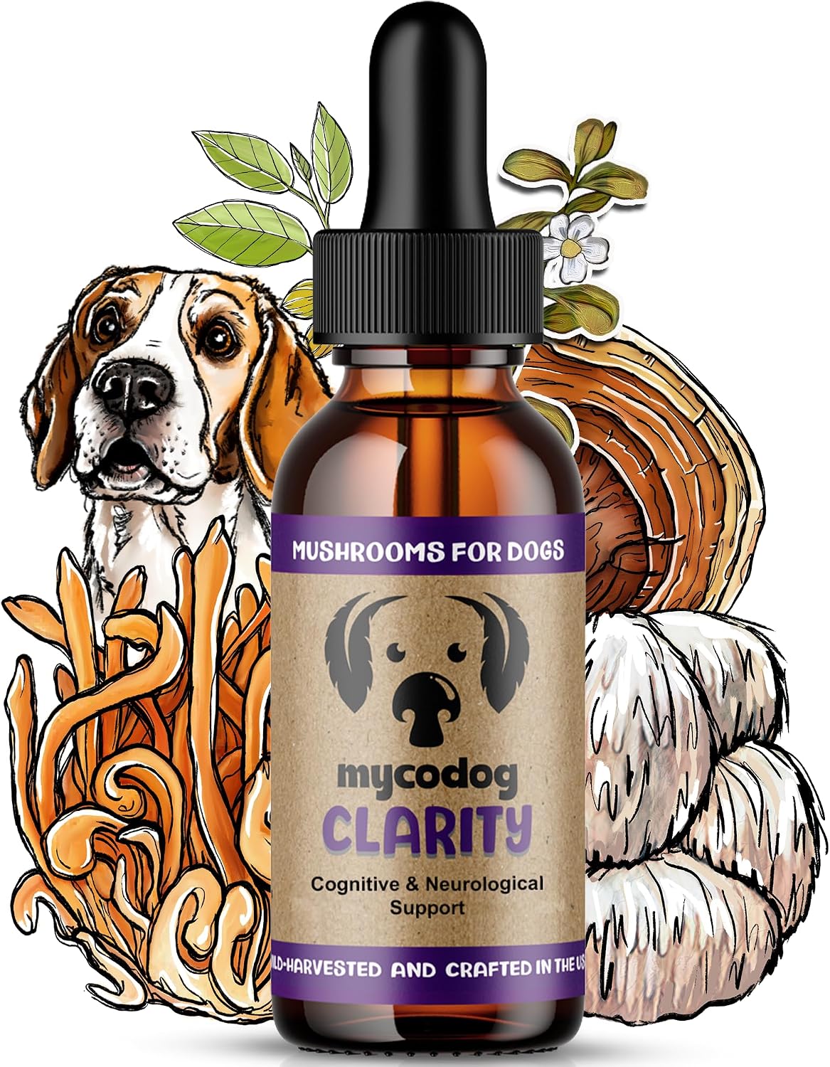 Clarity – Suplemento de Setas para el Apoyo Cognitivo en Perros con Adaptógenos