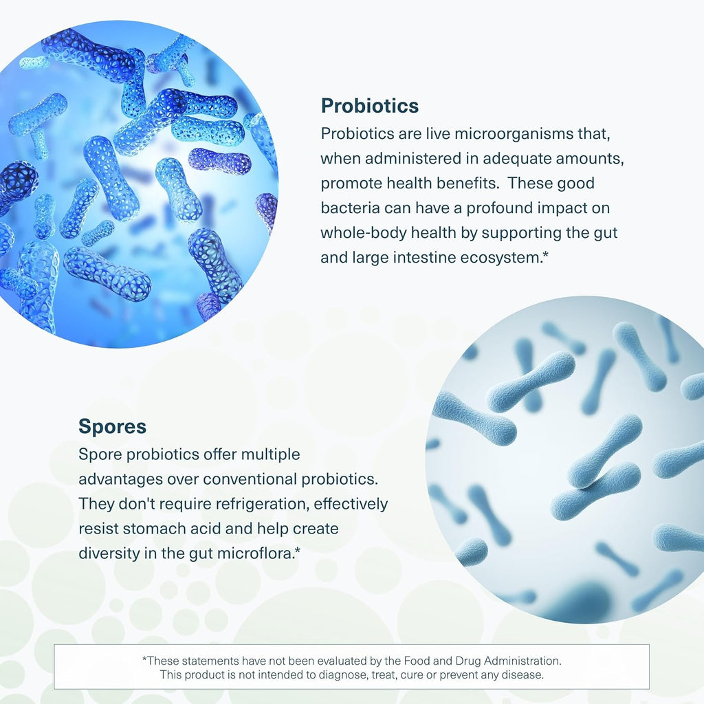 Youtheory Spore Probiotic - Probiótico con Esporas - 6 mil millones UFC - Salud Intestinal - 60 Cápsulas Vegetales