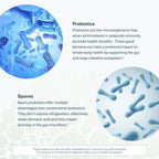 Youtheory Spore Probiotic - Probiótico con Esporas - 6 mil millones UFC - Salud Intestinal - 60 Cápsulas Vegetales