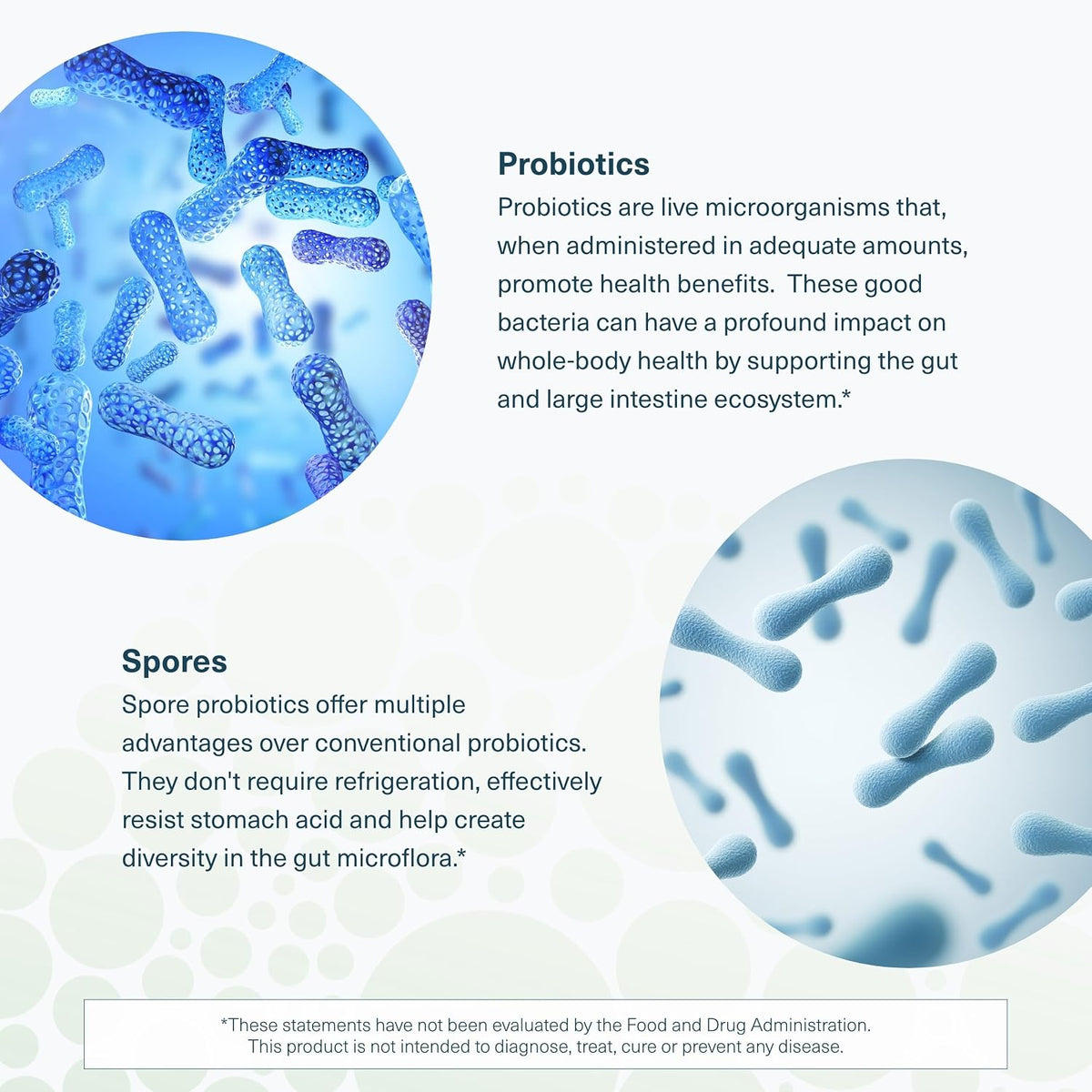 Youtheory Spore Probiotic - Probiótico con Esporas - 6 mil millones UFC - Salud Intestinal - 60 Cápsulas Vegetales – Image 5