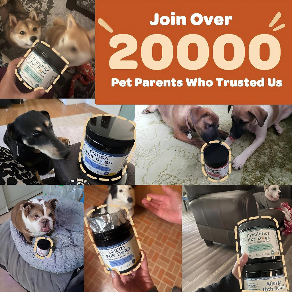 ZEBORA Probióticos para Perros - Masticables de Calabaza para Salud Digestiva e Inmunidad, 120 unidades