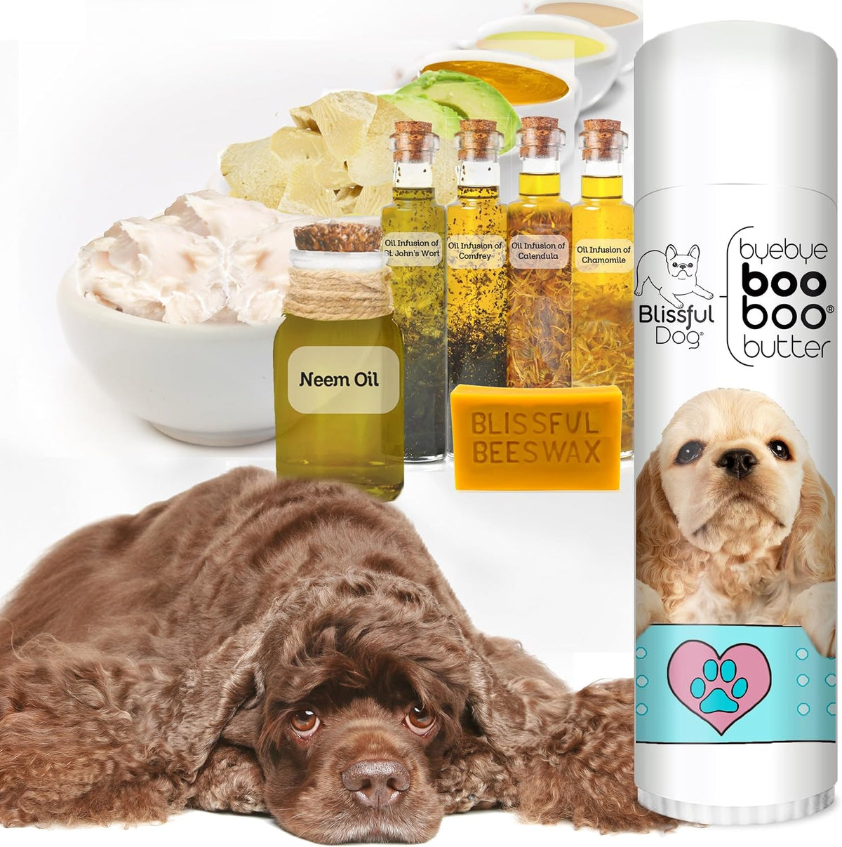 The Blissful Dog .50 oz Tube Cocker Spaniel – Aceite de oliva – Image 2