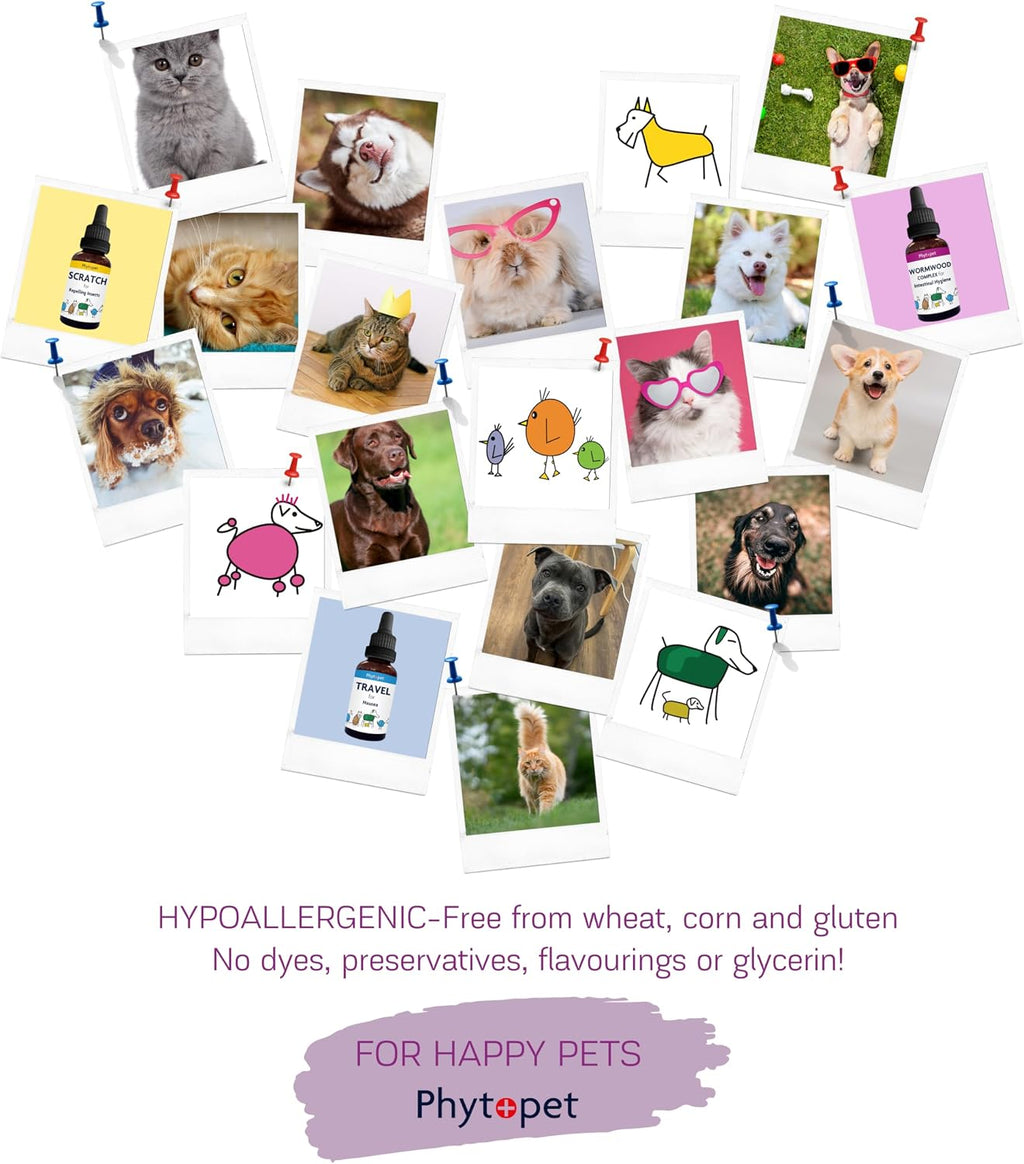 Phytopet Immune Plus - Suplemento herbal 100% natural de 30 ml para el sistema inmunitario de mascotas