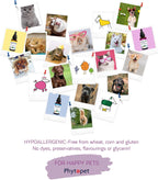 Phytopet Immune Plus - Suplemento herbal 100% natural de 30 ml para el sistema inmunitario de mascotas