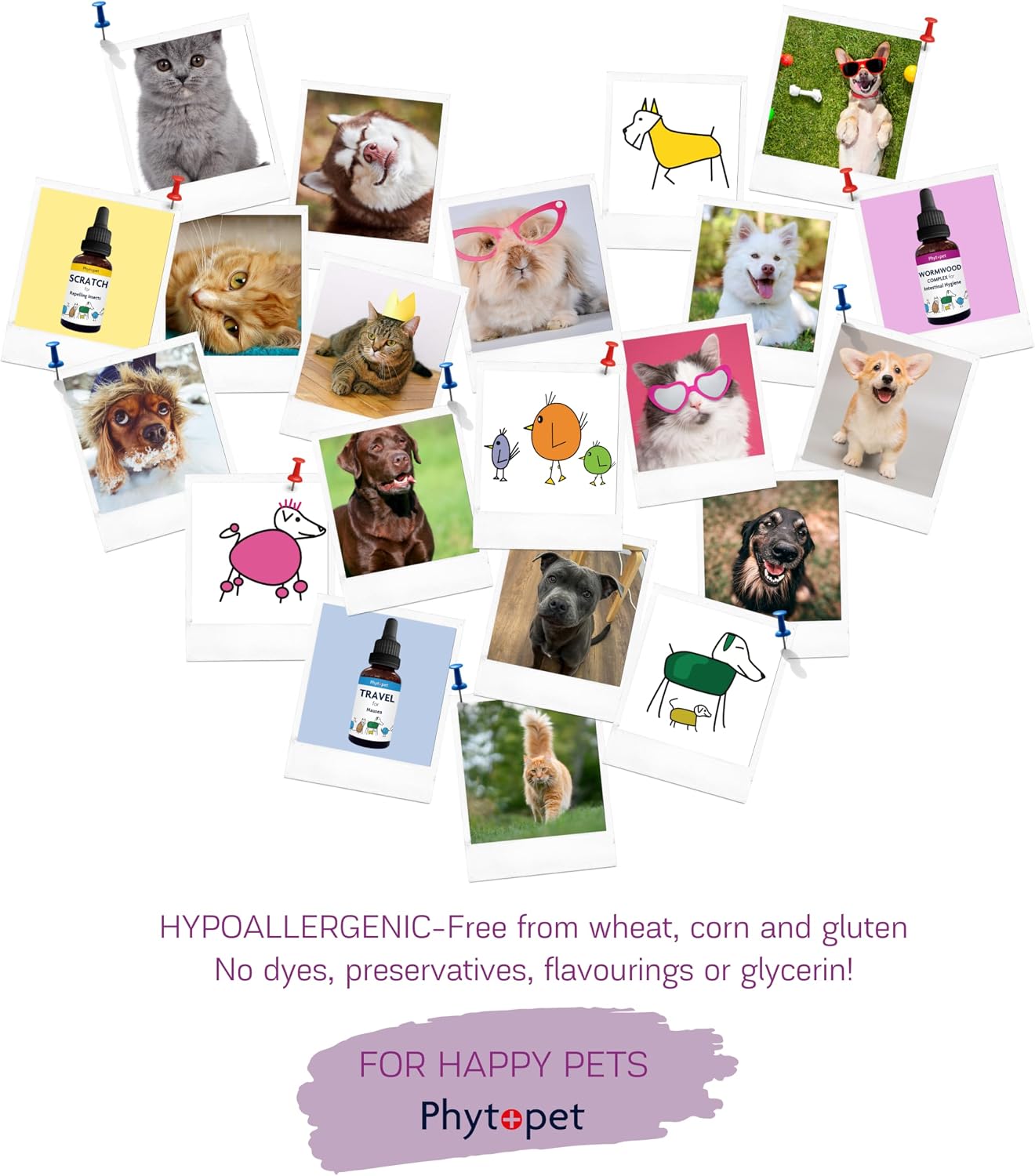 Phytopet Immune Plus - Suplemento herbal 100% natural de 30 ml para el sistema inmunitario de mascotas