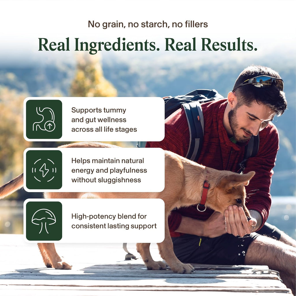 Real Mushroom Immune Pet Chews – Masticables de hongos para perros y gatos (60 uds)