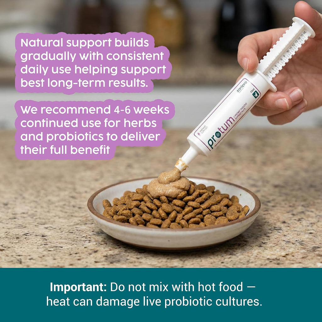 Protum Probiotic Paste para Perros - 30ml Fórmula Avanzada Prebiótica para el Soporte Digestivo - Sabor Atractivo para la Salud Intestinal Canina