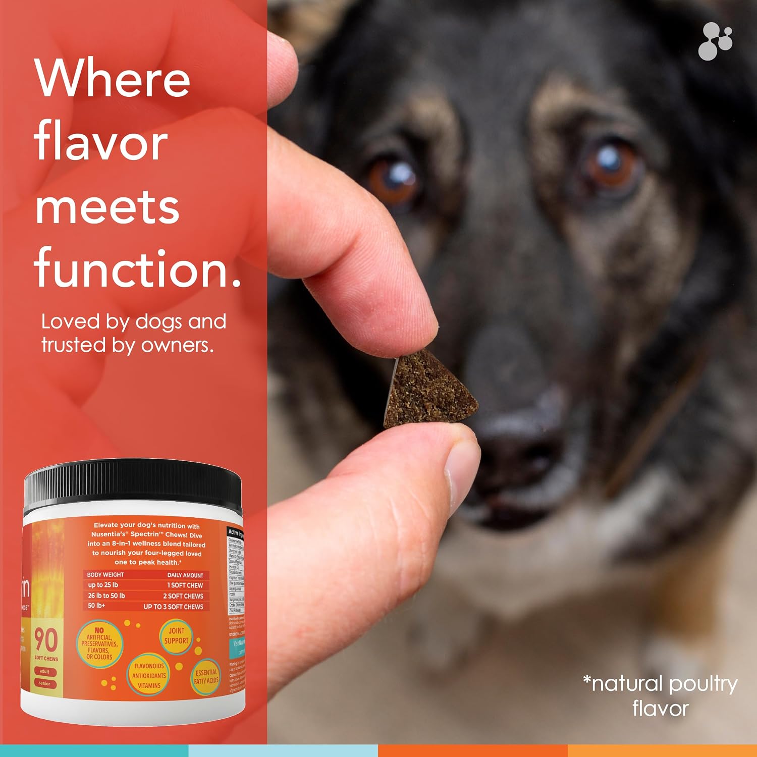 Masticables Multivitamínicos para Perros (90 uds), Glucosamina para Articulaciones, Omega-3 y Vitaminas para Piel, Hígado y Corazón - Spectrin de Nusentia