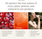 Yoli Truth Antioxidante y Apoyo Inmunitario con Vitamina C, Botánicos y Superfrutas - Sabor Granada, 30 Sobres