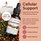 Aussie Pure Blushwood Berry EBC-46 Tintura de Máxima Potencia - 6 Botellas de 120 ml
