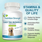 Nutrition Strength Cola de Pavo Orgánica para Perros - 500mg de Alta Potencia - Apoyo Inmunológico - Salud Celular - 120 Comprimidos Masticables