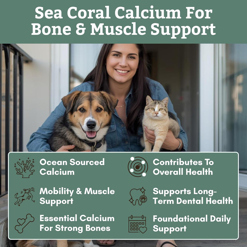 Wholistic Pet Organics Pure Powder Calcium - Calcio en Polvo para Perros y Gatos - 60 Dosis