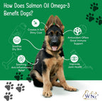 WNz Health Omega 3 Snacks for Dogs - Skin & Coat - 55 Count (227g)
