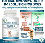 Nutrition Strength Vitamina B12 para Perros con Folato y Calcio - 120 Comprimidos Masticables