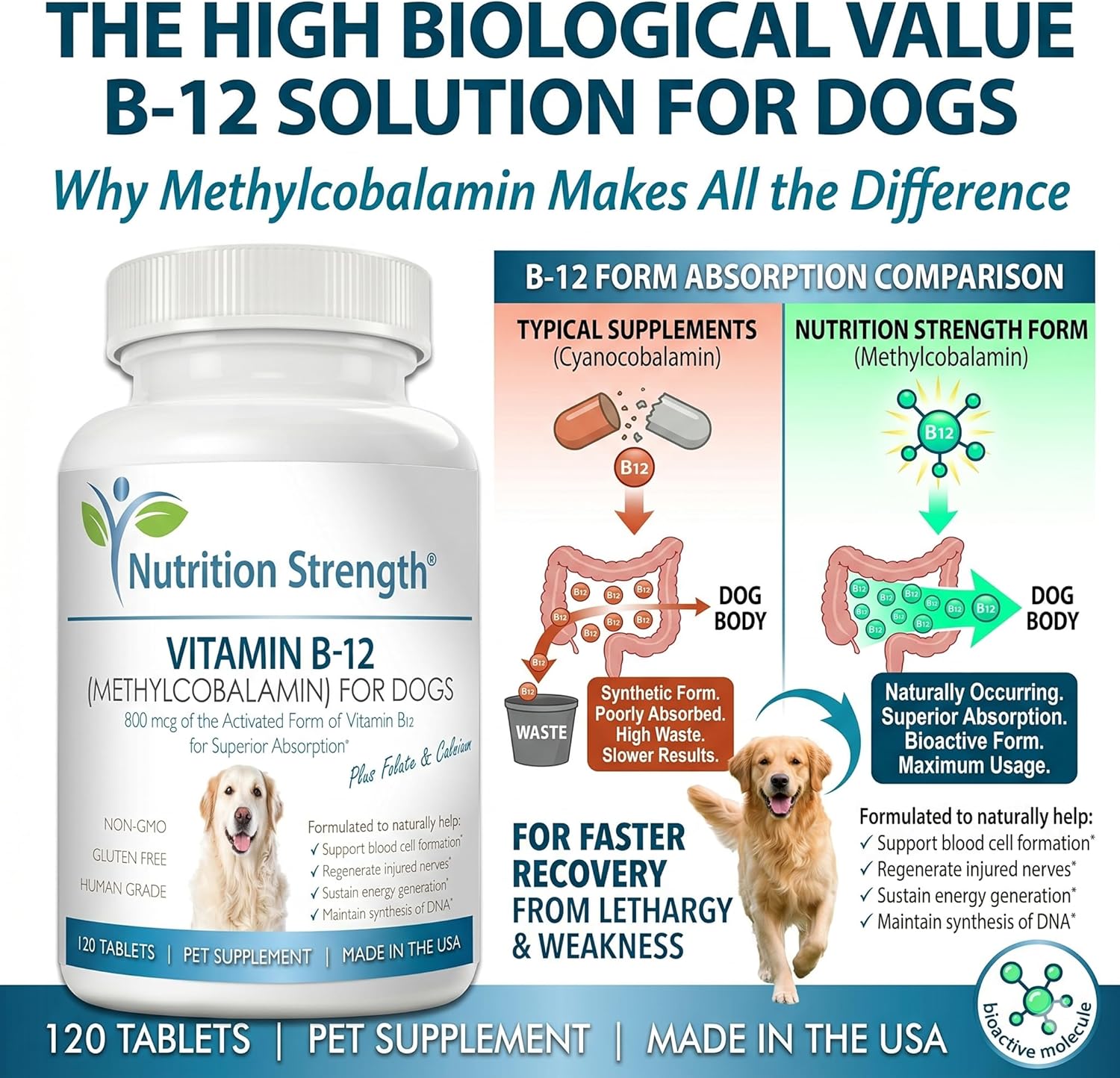 Nutrition Strength Vitamina B12 para Perros con Folato y Calcio - 120 Comprimidos Masticables