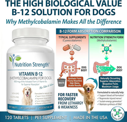 Nutrition Strength Vitamina B12 para Perros con Folato y Calcio - 120 Comprimidos Masticables – Image 5