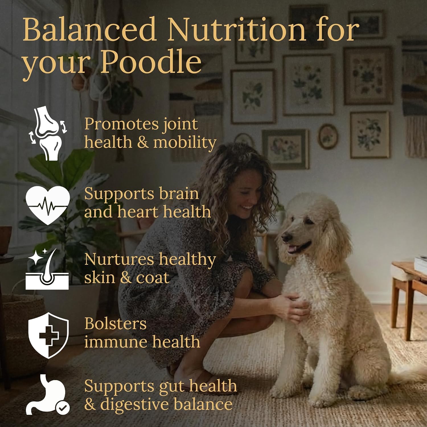 Prestige Breed Multivitamínicos, Nutrición Equilibrada para tu Poodle, 90 unidades, Hecho en EE.UU. con Bacon Real