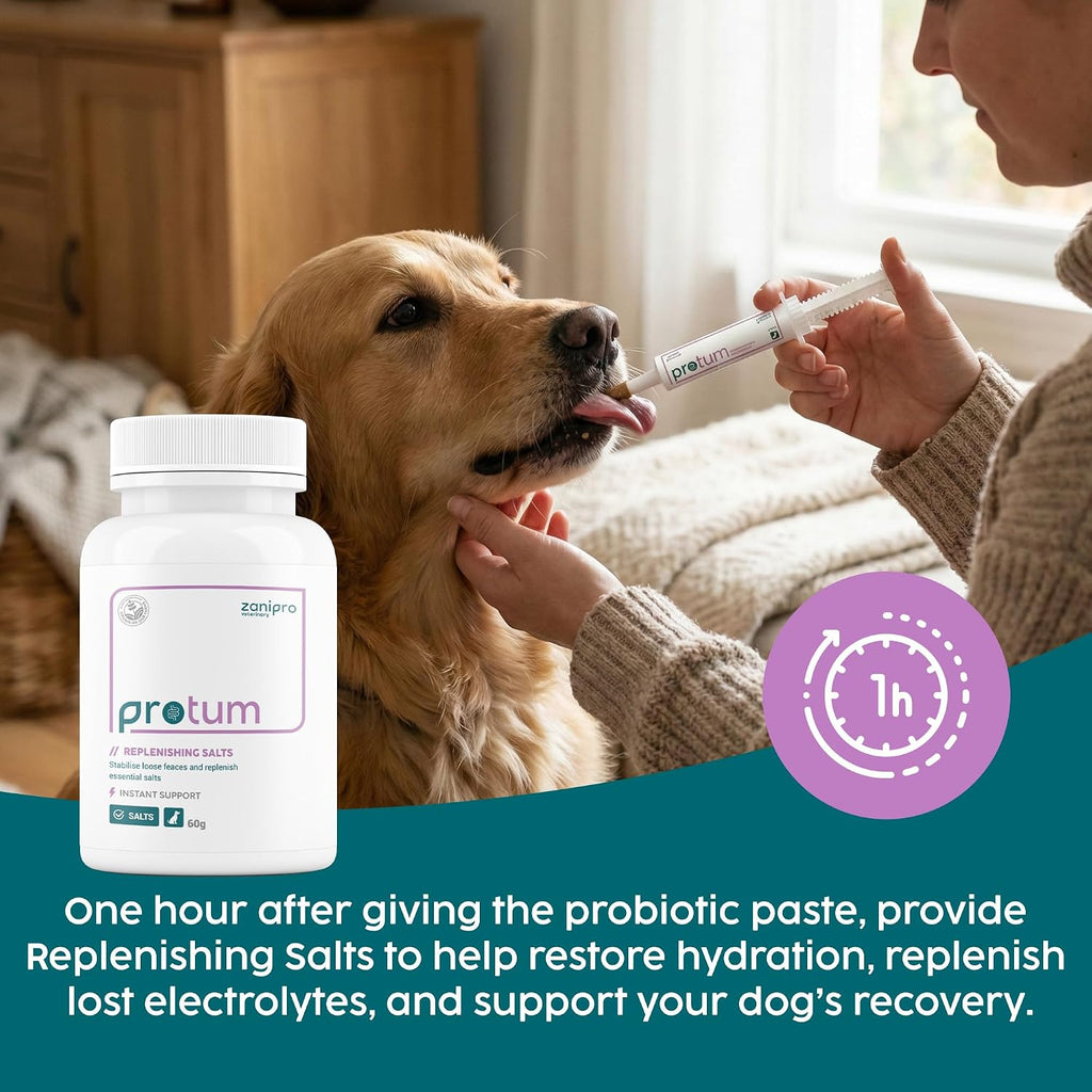 Protum Probiotic Paste para Perros - 30ml Fórmula Avanzada Prebiótica para el Soporte Digestivo - Sabor Atractivo para la Salud Intestinal Canina