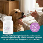 Protum Probiotic Paste para Perros - 30ml Fórmula Avanzada Prebiótica para el Soporte Digestivo - Sabor Atractivo para la Salud Intestinal Canina