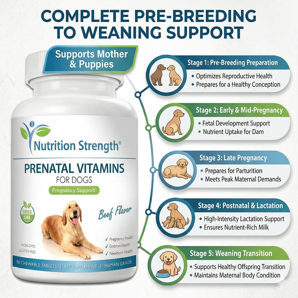 Nutrition Strength Vitaminas Prenatales para Perros - 90 Comprimidos Masticables