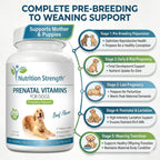 Nutrition Strength Vitaminas Prenatales para Perros - 90 Comprimidos Masticables