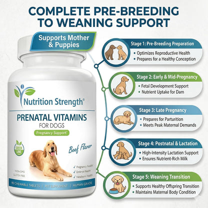 Nutrition Strength Vitaminas Prenatales para Perros - 90 Comprimidos Masticables – Image 2