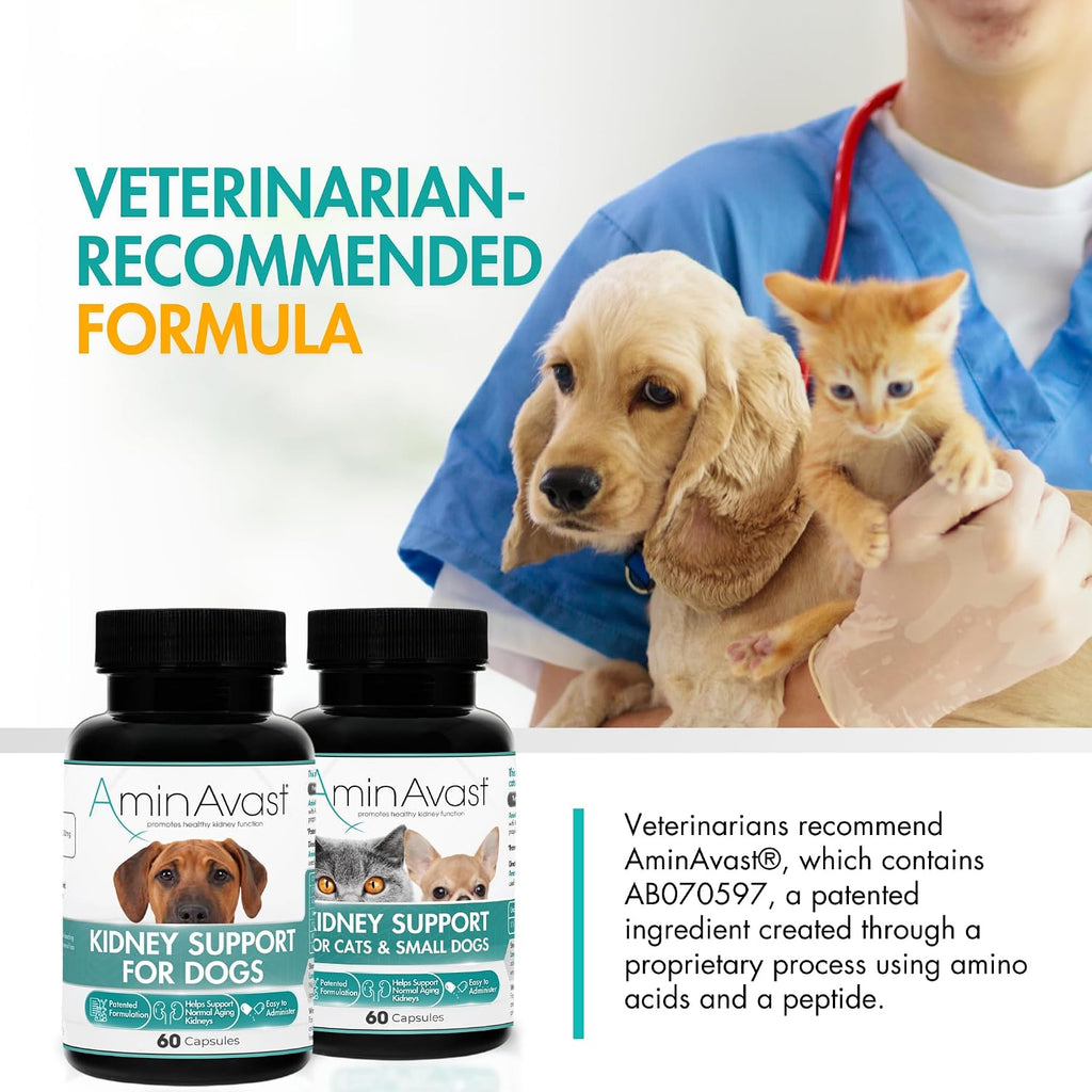 AminAvast Kidney Supplement for Dogs - Supports Natural Kidney Function - 1000mg, 60 Capsules