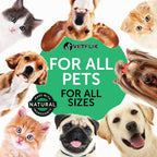 Vetflix Líquido para la tos para perros y gatos - 60 ml - Mezcla de gordolobo, saúco y caléndula
