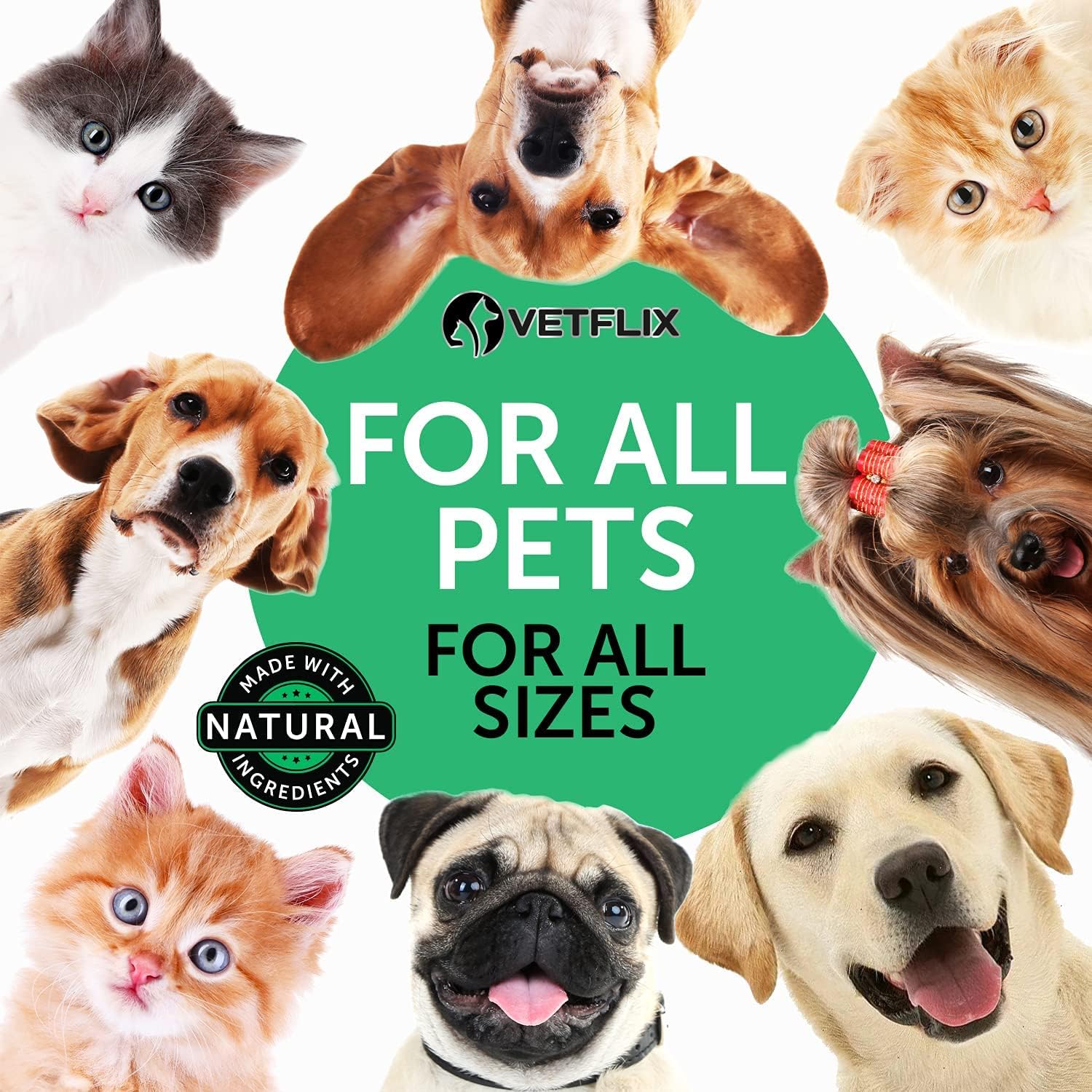 Vetflix Alivio para la Tos en Perros y Gatos - Suplemento Líquido con Gordolobo, Saúco y Caléndula - 2 oz