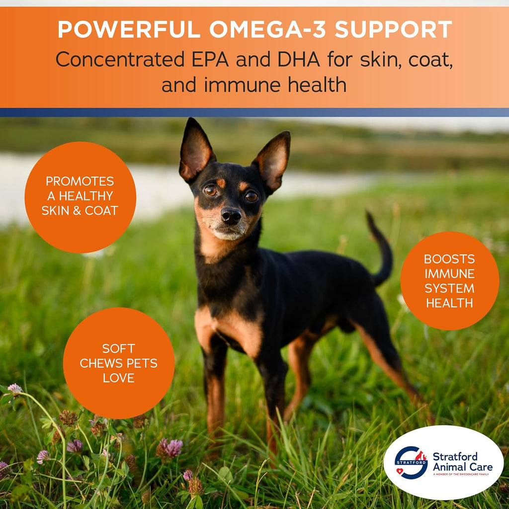 Stratford Pharmaceuticals EZ Chew Omega 3 Masticables Blandos para Perros - 60 unidades