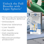 LivOn Laboratories Lypo-Spheric B Complex Plus – 30 Sobres – 195 mg de Vitaminas B, Minerales y Canela por Sobre – Encapsulación Liposomal para Máxima Biodisponibilidad – Paquete de 2