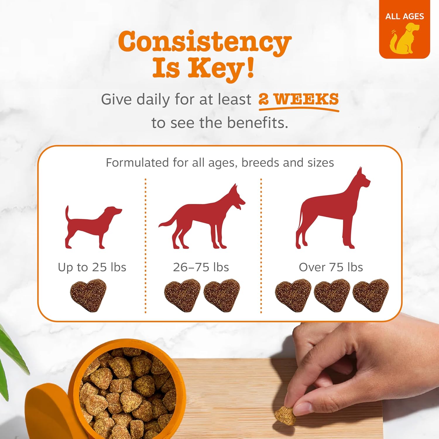 Zesty Paws Suplemento de Arándano para Perros - Control de Vejiga - Apoyo Urinario - Masticables de Arándano - Apoyo Inmune y Digestivo - Pollo - 90 Unidades