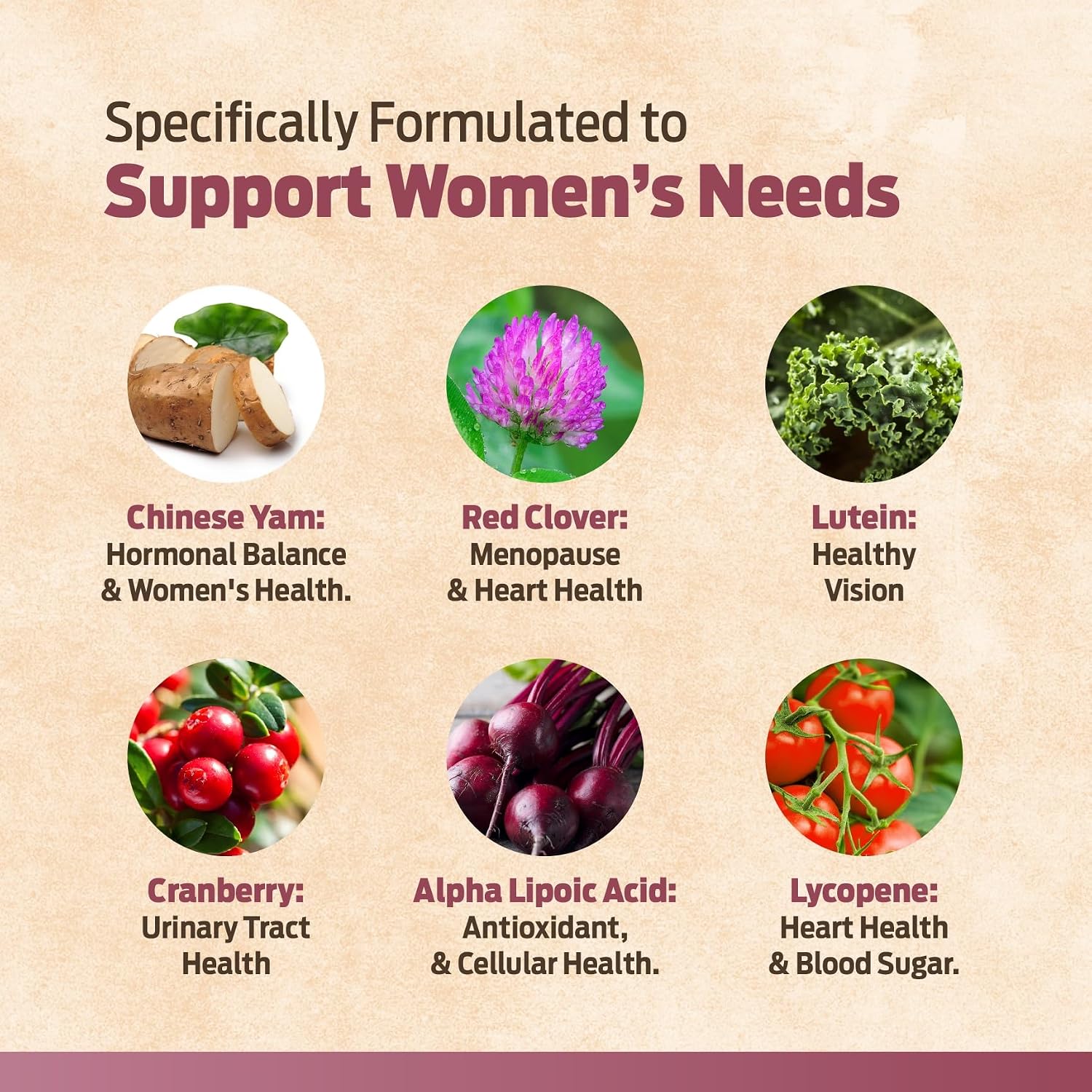 ForestLeaf Multivitamínico Diario para Mujeres, 60 Cápsulas Veganas